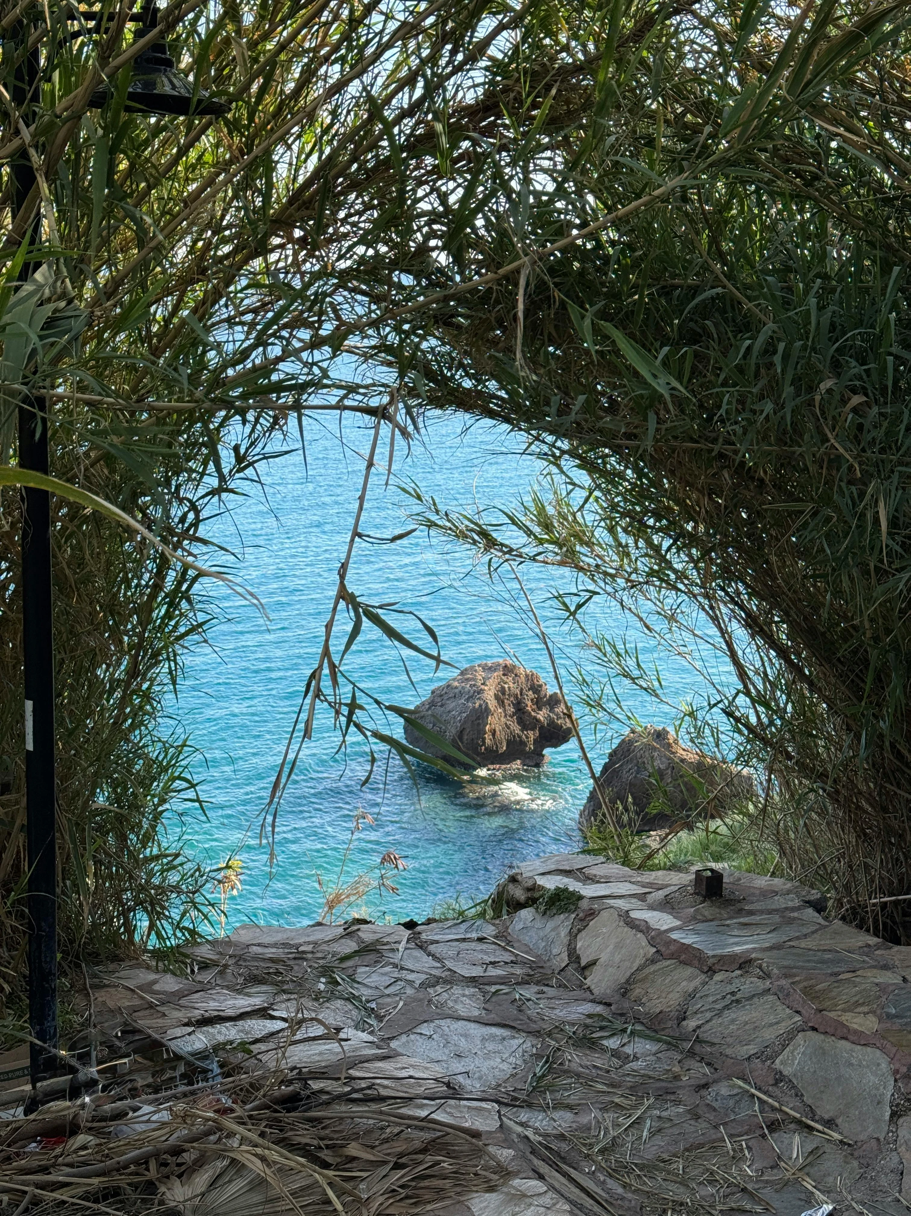 Chasen adı verilen bambu çırpıcı